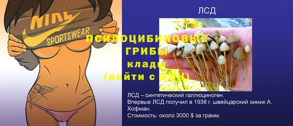 прущий лед Алзамай