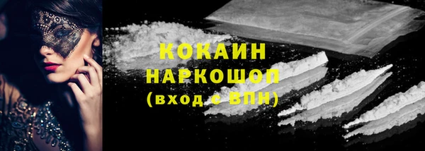 прущий лед Алзамай