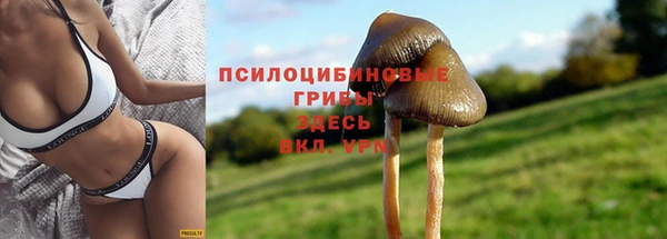 прущий лед Алзамай