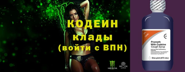прущий лед Алзамай