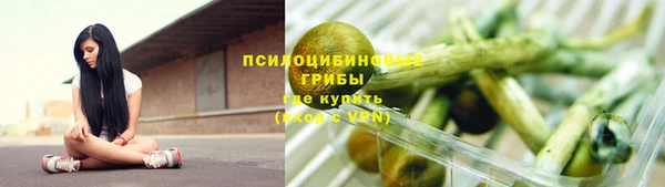первитин Алексеевка