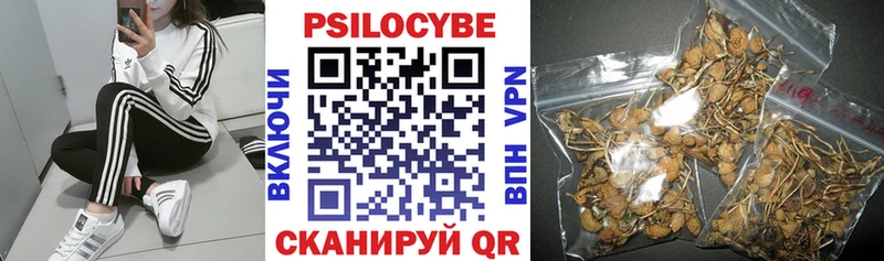 Псилоцибиновые грибы Psilocybe  цены   мега ссылки  Евпатория 
