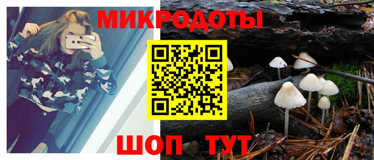 Галлюциногенные грибы Psilocybe Евпатория