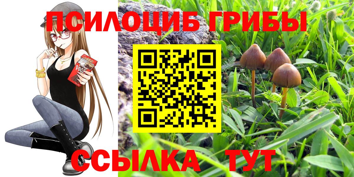 Галлюциногенные грибы Cubensis  Вход с VPN  Евпатория 