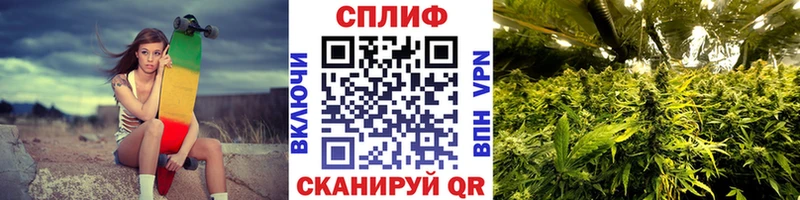 Бошки Шишки Amnesia Евпатория